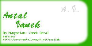 antal vanek business card
